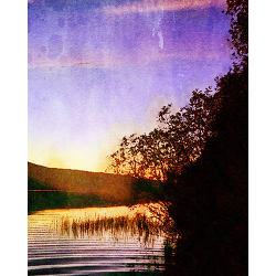 Wild Swimming 10 x 12 Art Print: Across the Lake