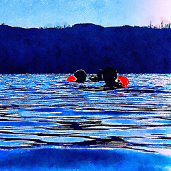 Wild Swimming 10 x 10 Art Print: Bobbing with Tow Floats