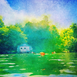 Wild Swimming 10 x 10 Art By The Boathouse